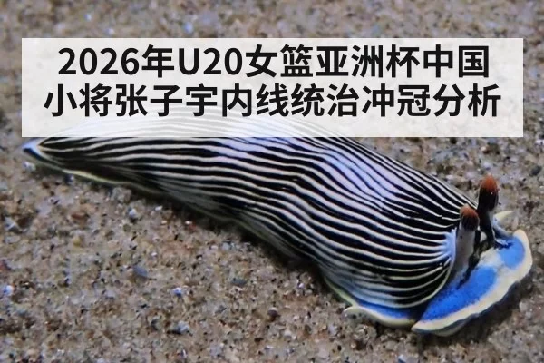 2026年U20女篮亚洲杯中国小将张子宇内线统治冲冠分析